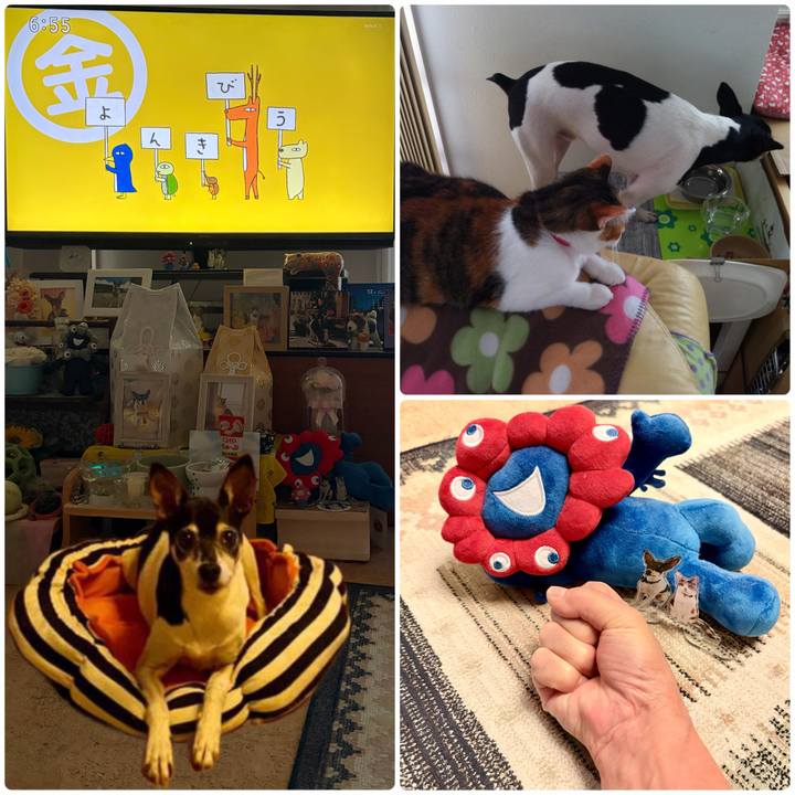 3dacf9a7 8723 4ade aabe c8bf60922a2c 1766100576988