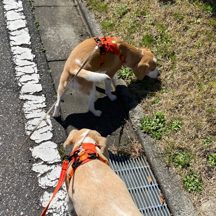 3dad25f9 858b 45b1 9de5 391abfa12847 1586483010104