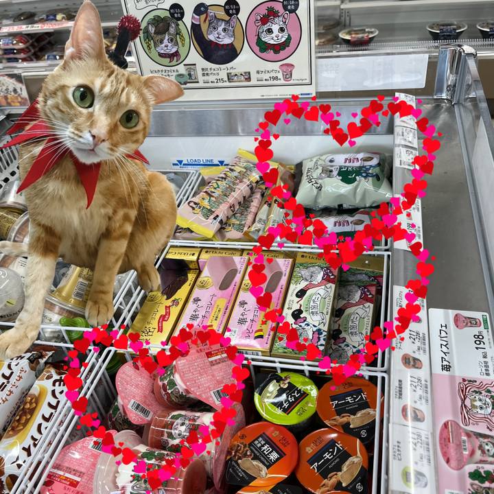 3dad5fde 2eac 4a34 962b e3e8c9eeab3e 1640681632995