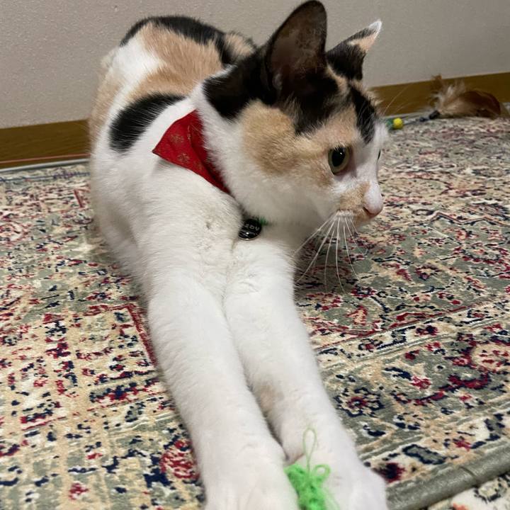 3dad7ca8 61c6 4a0e 9253 19ac736df0f8 1716209765310