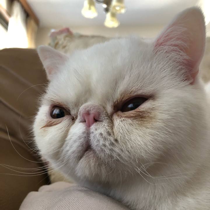 3dad7e9a 56a0 4419 b79e 3f415a9da7e6 1580530413261