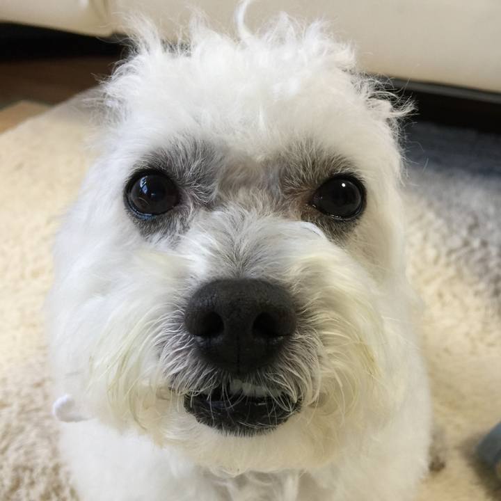 3dad8607 7ae0 41eb b974 b113cee0d5dc 1544338329565