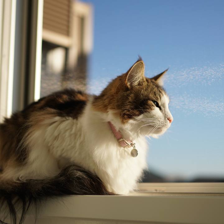 3dad95ed fe0c 4ea6 9eb3 77daafa9d415 1575012748117