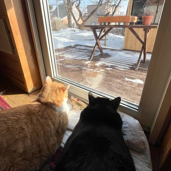 3dad9de1 aed3 485c b98e 410a59607bde 1768187425917