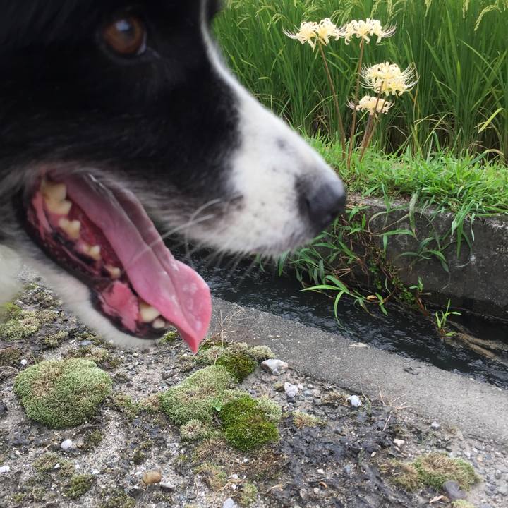 3dadf236 04e2 4a95 80df 91b1b0bd4638 1567817949907