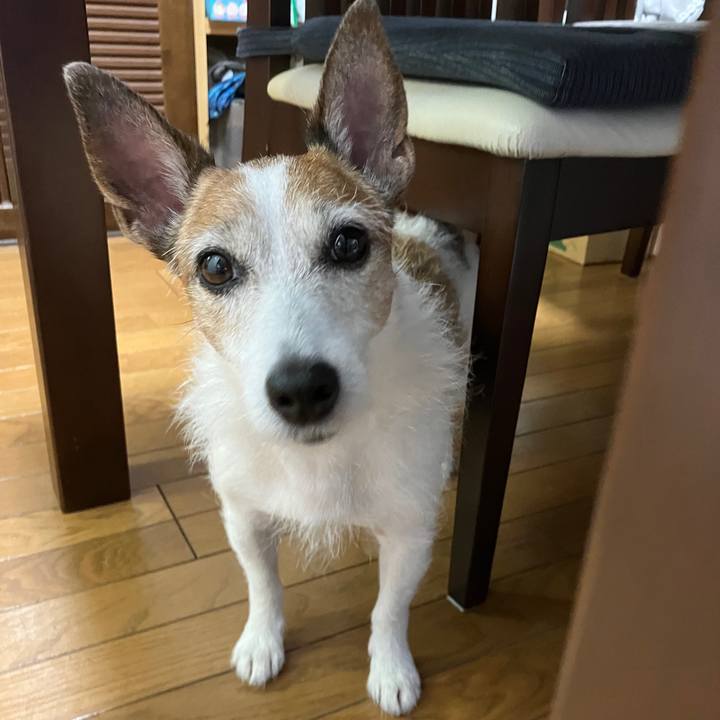 3dae00ad 37d0 40d9 9e27 73d66f9ebb2c 1689983997051