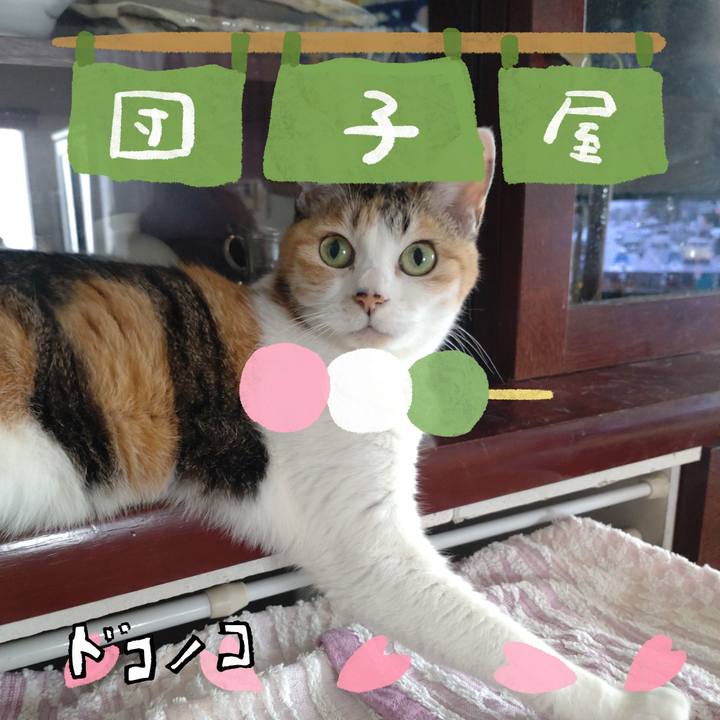 3dae218d 6235 4c02 8bae 92741e7bb548 1712231237079