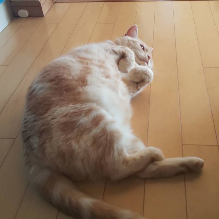 3dae31e5 aebb 4224 8cf1 5360f9227b9f 1545349305498