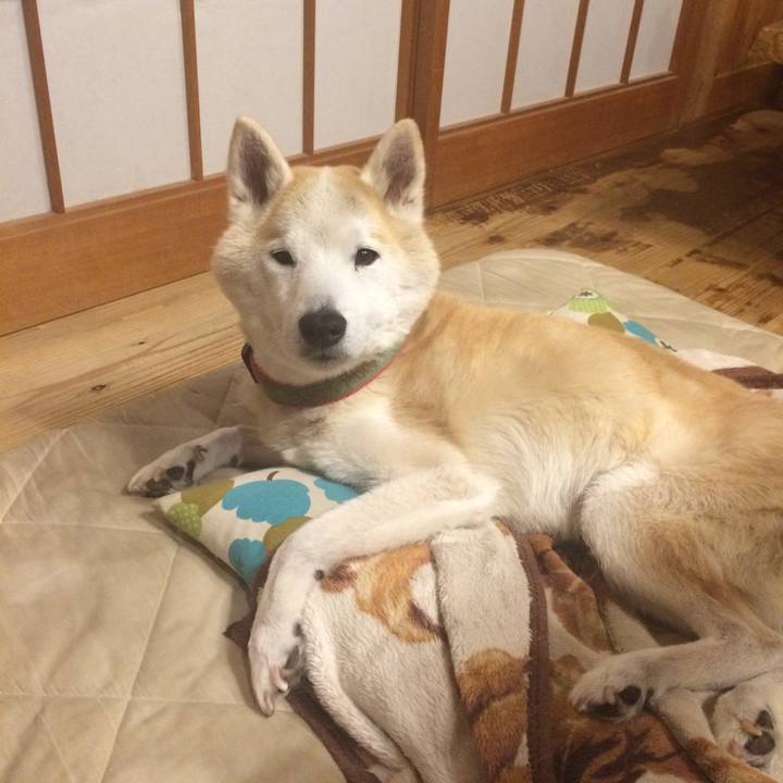 3dae4ef8 029f 475e 944c 1271df4b073d 1577197991840