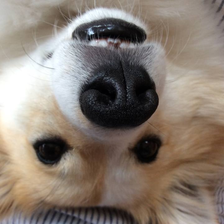 3dae75f6 0d2c 4ba4 b96a 82d4a6418918 1523773766464