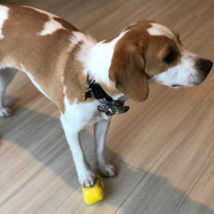 3dae7fc5 30d7 4400 b790 f1abc64bcffa 1564449854077