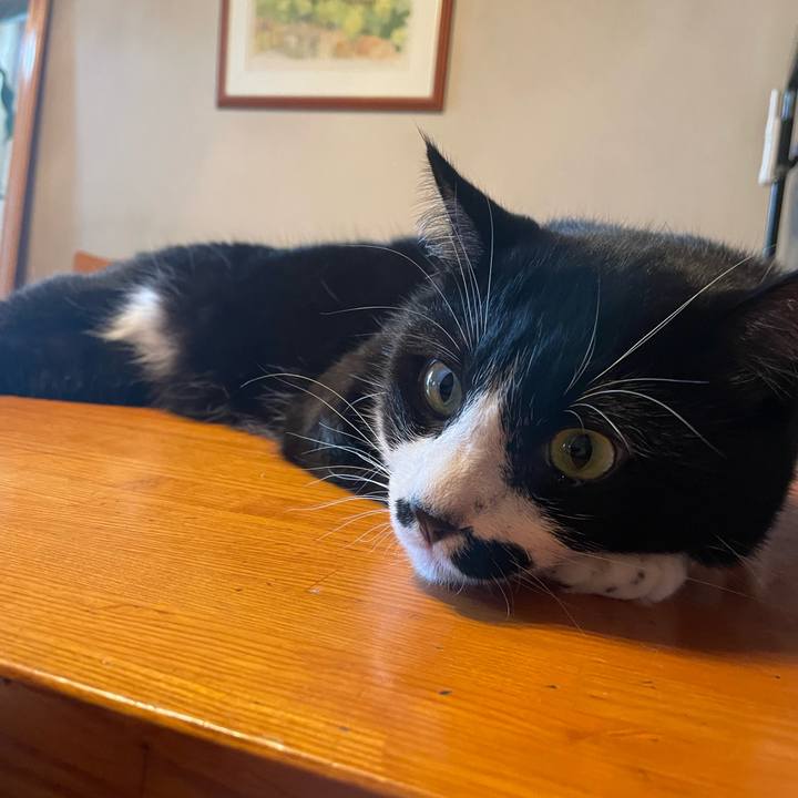 3daedf6d 78c5 4649 80f2 76a9a80715d7 1693793015520