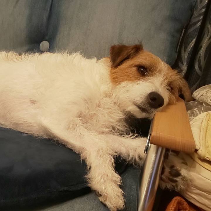 3daef19c cc8a 424e b68b b79b91ff5dc1 1627738423612