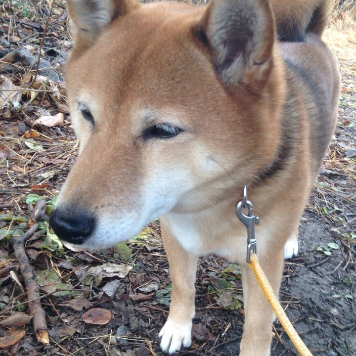 3daf2821 0e85 43af 8a9a a395537b8130 1515461411699