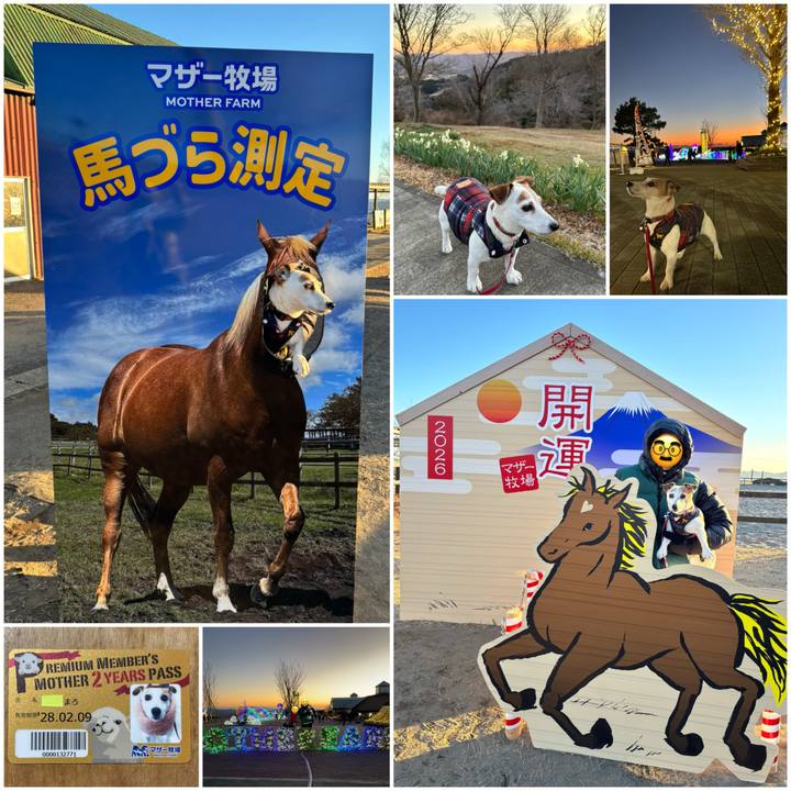 3daf2edd 4695 4606 b78a 27d55bc0347a 1768308257759