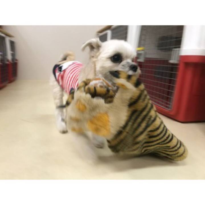 3daf33dd bb74 4f5b 9c52 0d8b1a05e320 1547721940255