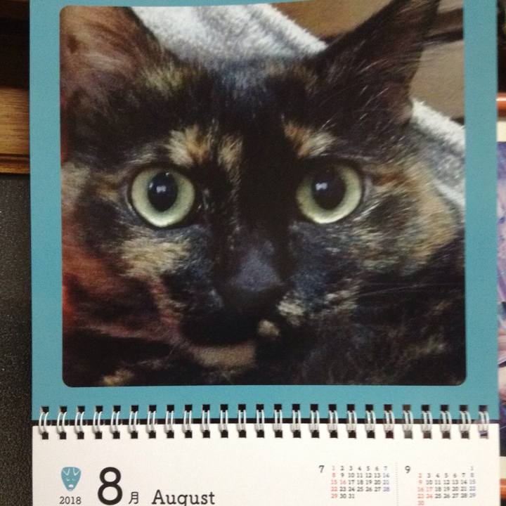 3daf358f f254 4cb9 bf01 8846ec5097e1 1533127602324