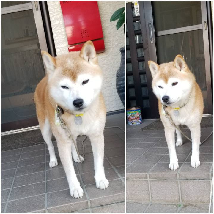 3daf3d1a 0db2 4a3c 834d f1d616a1a313 1662937003178