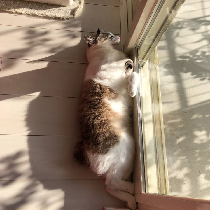 3daf8559 c50c 4efd ae4c 4ce87a7980d8 1574869097618