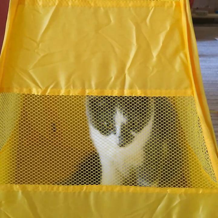 3daf9907 d26a 4020 8690 afd3741a4e14 1568607368787