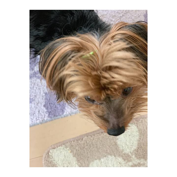 3dafd458 c43d 4805 8d20 dbdd1ab011f2 1548129996452