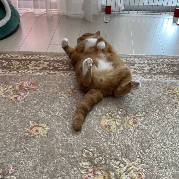 3daff6ed e70e 48b4 aa1a d5cb2d0c27b8 1629603385939