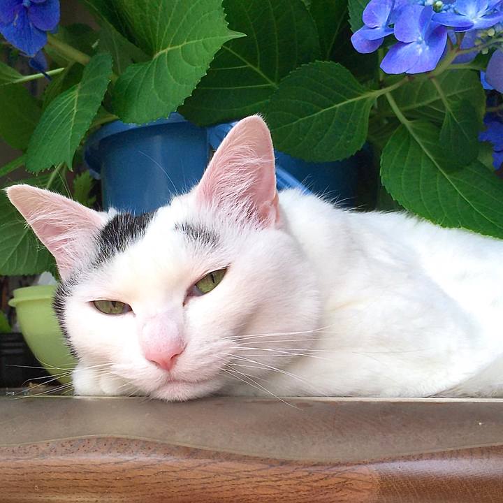 3db009ba 9bb2 4453 825d 939d73d87477 1593837046293