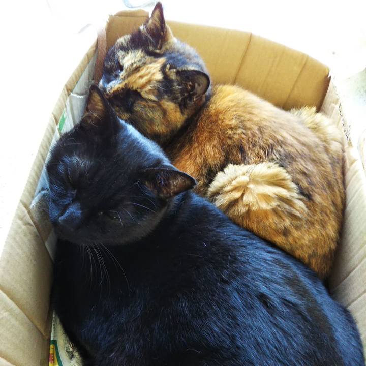 3db04260 4644 444c b87c e7a171dcdf5e 1595772701825