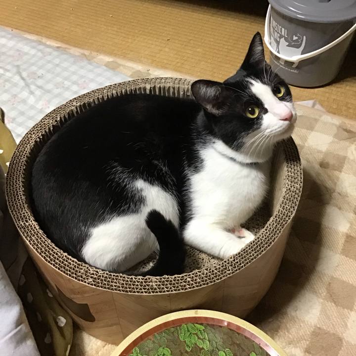 3db0461c ffa2 4875 9cc8 00743a3d24c4 1700393725348