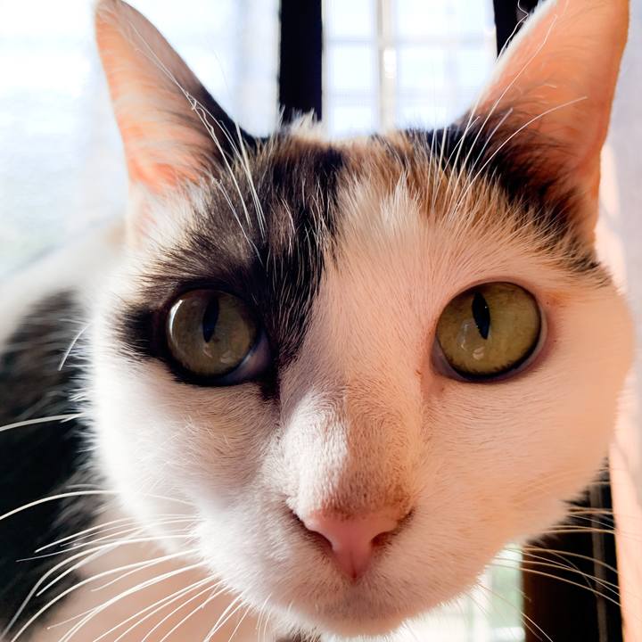 3db08ef7 1c5a 4280 8baf a094c121e2bc 1594432744280