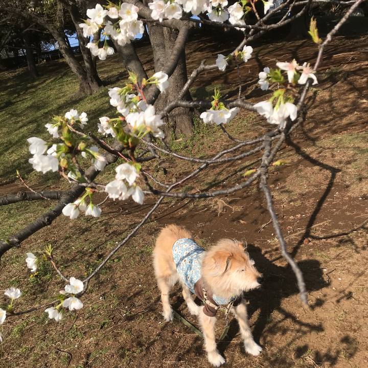 3db09156 9be0 49d9 b10e 9e1cee32d14f 1616512616607