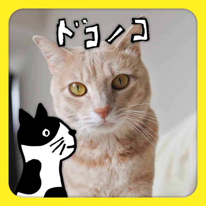 3db0982c 994b 41e2 b617 ae97a9e9eb70 1623037572444