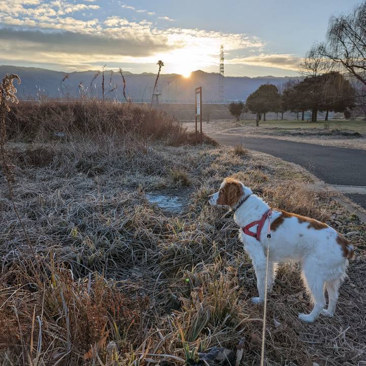 3db0b3fd 4026 4c34 86c2 5f71a1a7e900 1644200879984