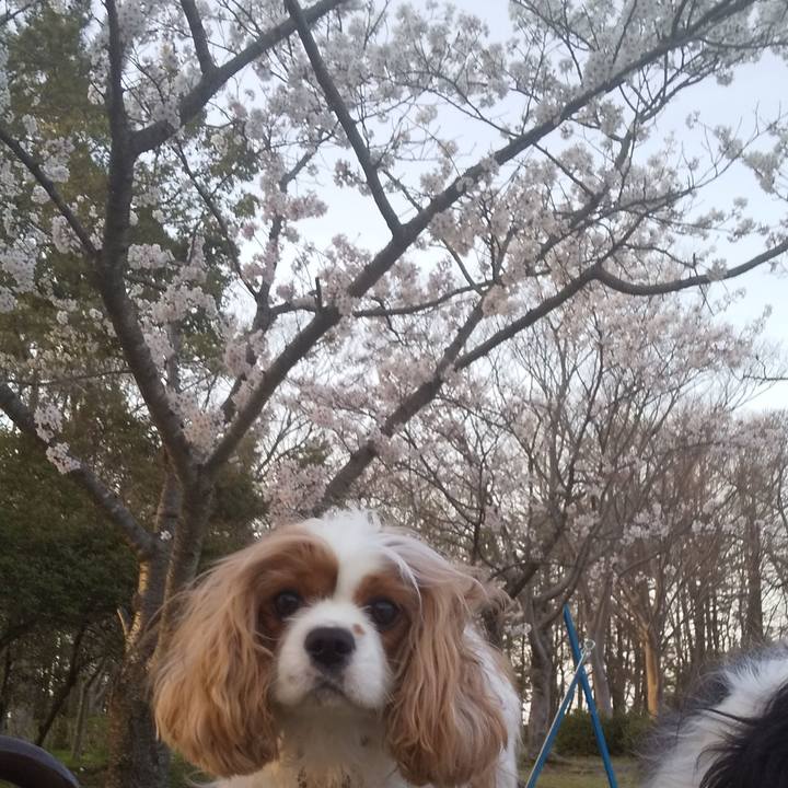 3db0b8bd 7815 4cb3 a121 330020809d87 1617276639650