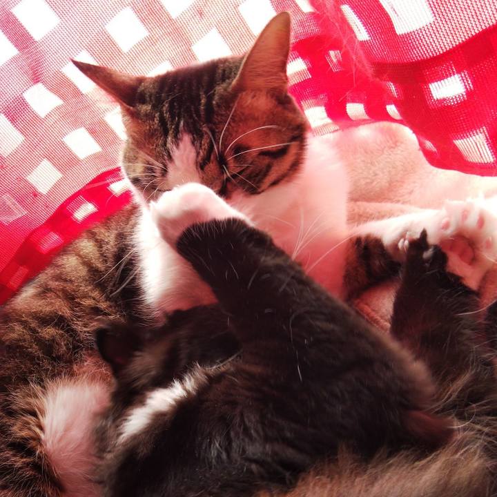 3db0d170 c8b9 4a17 aeb4 0f089cb1cbee 1646272511548