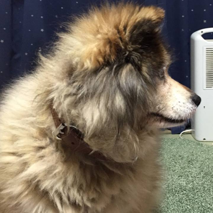 3db0d352 641a 416c 9927 dd6de11802e0 1560554053366