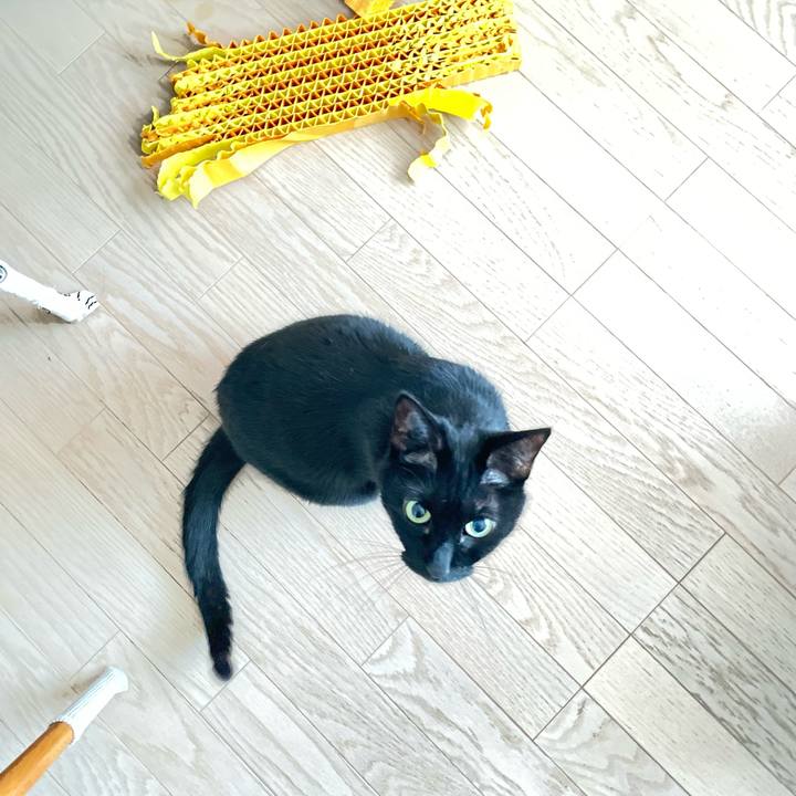 3db0dfa0 6113 499e ab1c b5571b653dd7 1674731778239