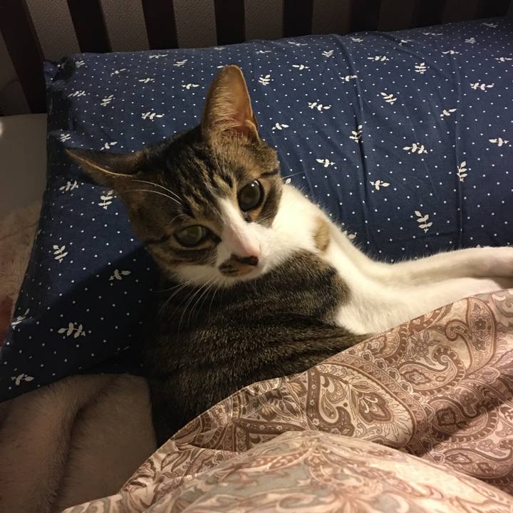 3db12d3b a167 4148 9b8e 0e7f23afde74 1551493144500