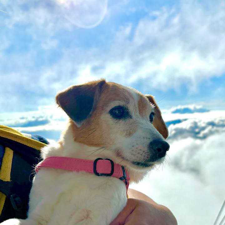 3db13c5a 5c13 4afc 9bd7 032e56de8dc2 1725974675025