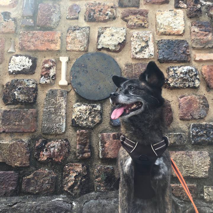 3db18f9d 6cf5 4863 a176 d6cc10791448 1628678322326