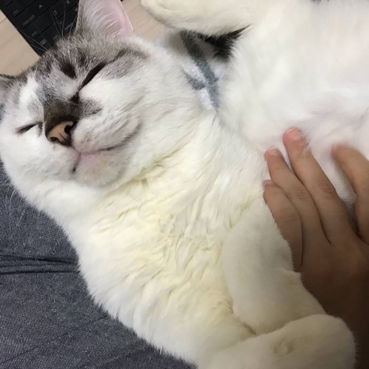 3db1b0fc 65b1 4859 97f2 933bbf884c18 1544866650979