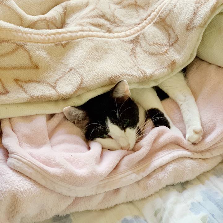 3db1b90a f909 4378 a334 b664eda14ebb 1542770761347