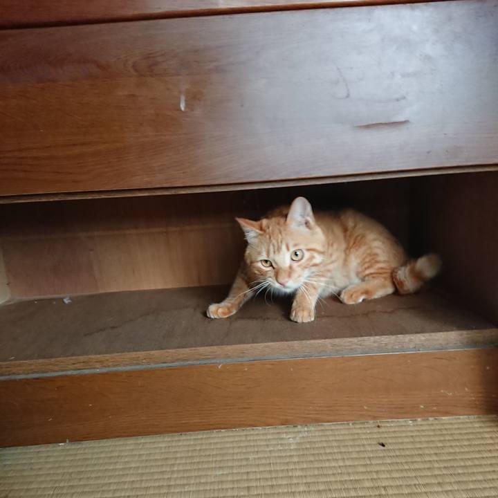 3db1bb14 7566 4459 b4e2 5511efd4b59a 1662171874870