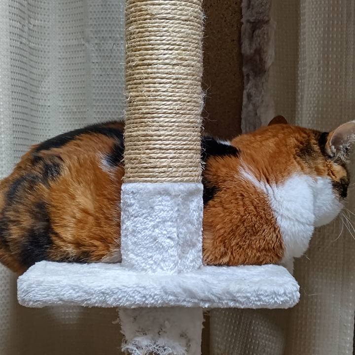 3db1cdcb 6a6c 4218 bffe b0a23ba2f9ad 1632236204674