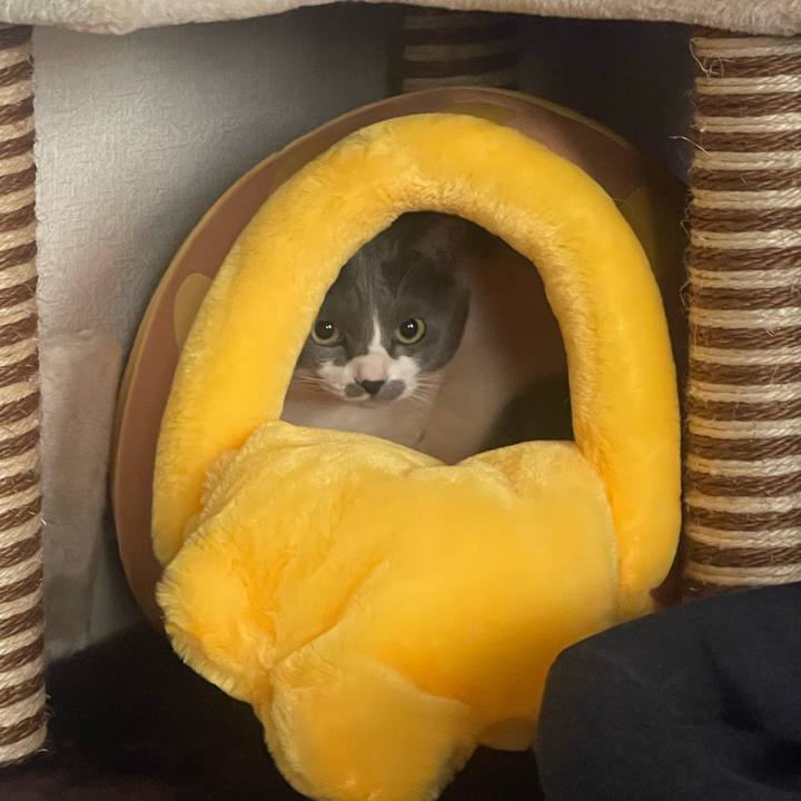 3db1d031 8df0 43b1 9fb3 9660341122fa 1708154455484