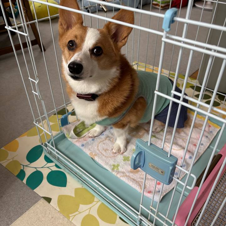 3db1f04f b5e0 49a9 b62c 78a8afec66a0 1758243577904