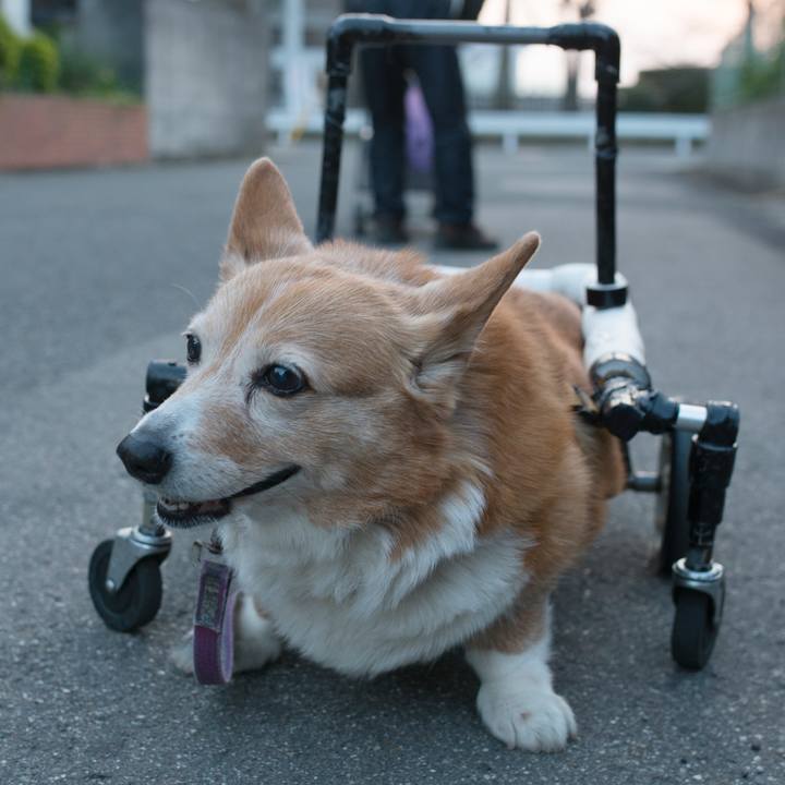 3db2072a ada9 44e4 81fd 3ecffad03744 1555143027633