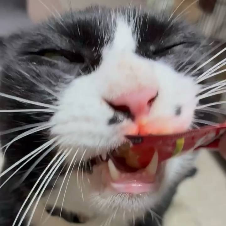 3db218bb 3055 4e50 b54d 7583aeb8b3af 1757410808457