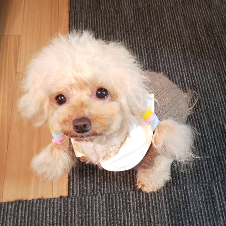 3db27dc5 886e 4d6b b6a3 25e1b52f83fd 1580993216437