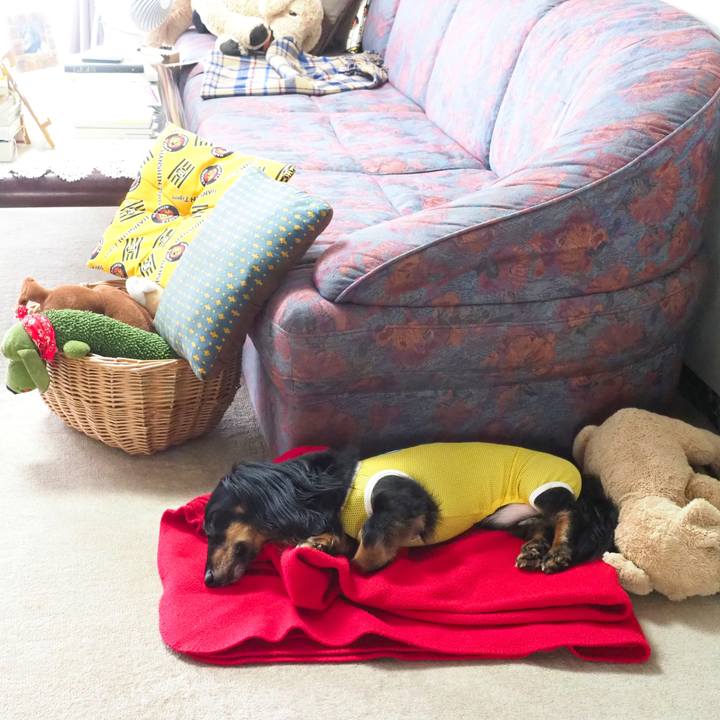 3db29493 6cf3 4295 96f8 117182df1cf3 1690768579272